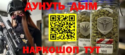 индика Азнакаево