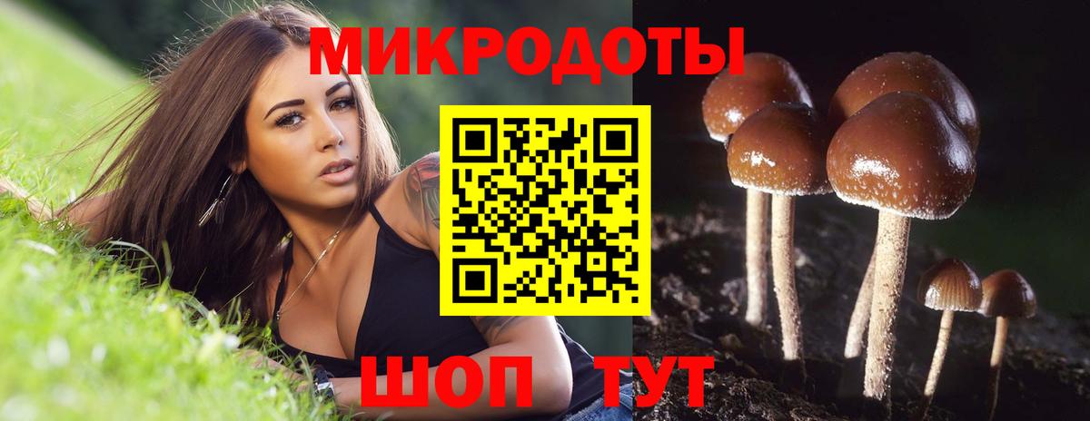 Галлюциногенные грибы Psilocybine cubensis Балабаново